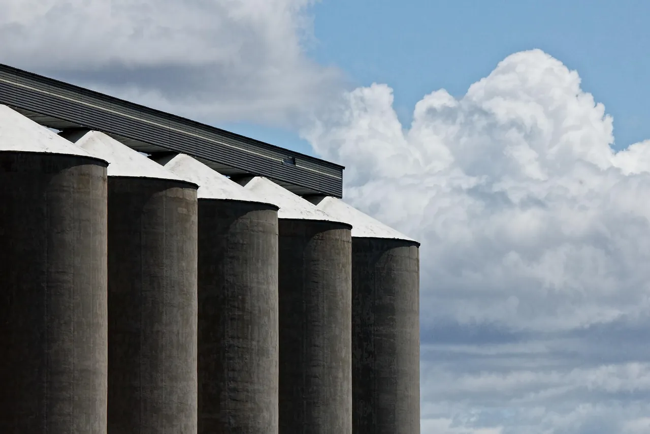 Grain processing industry