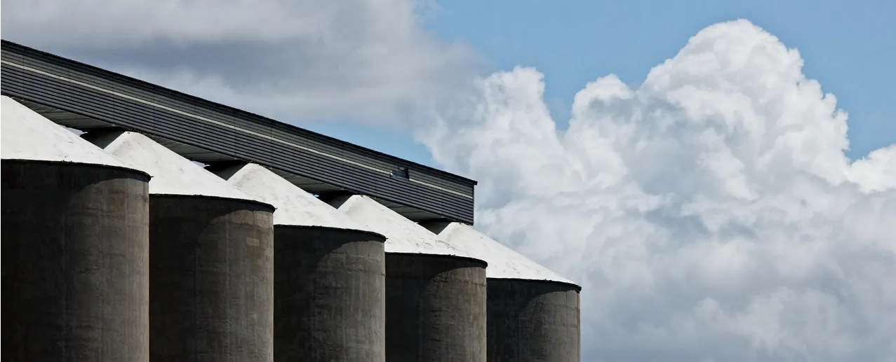 Grain storage